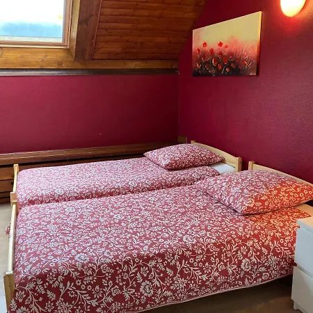 Le Du Loup Holiday home Natzwiller